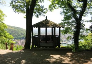 Blick über Heidelberg